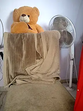 Snapshot of lovelygirl4567 chatting on 11/10/25, 04:11 lovelygirl4567 online show from 11/10/25, 04:11