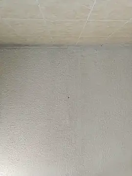 boobsTaylor online show from 09/21/25, 06:53