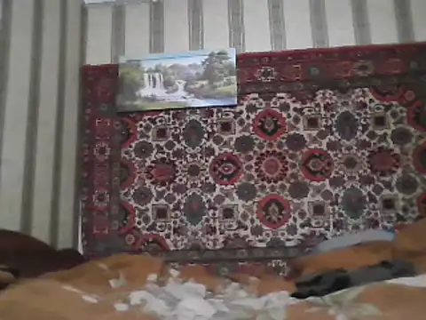 AlferezzSolvajo online show from 02/03/25, 05:56