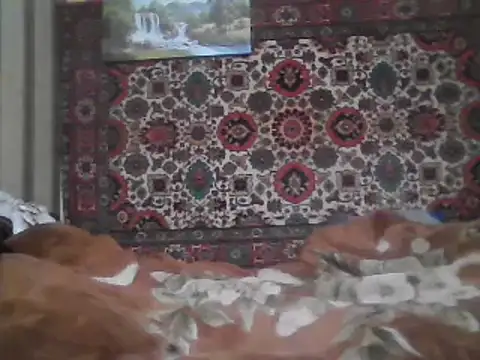 AlferezzSolvajo online show from 02/08/25, 10:51