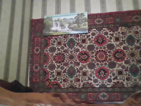 AlferezzSolvajo online show from 11/21/25, 12:15