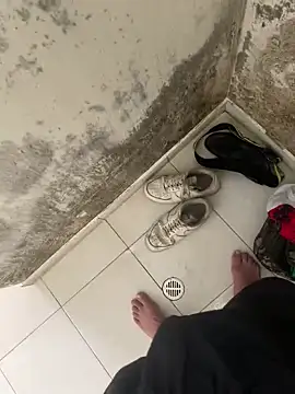 elflalope online show from 11/04/25, 08:52