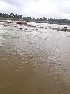 aryan 8051 online show from 10/29/25, 05:31