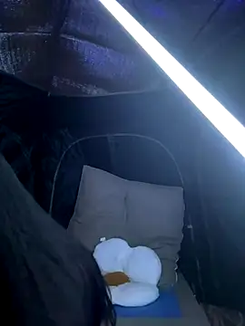 Snapshot of csck2025 chatting on 11/29/25, 12:08 csck2025 online show from 11/29/25, 12:08