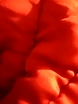 Snapshot of aiandru chatting on 03/13/25, 07:39 aiandru online show from 03/13/25, 07:39