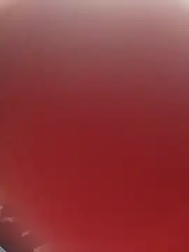 blondaf online show from 11/25/25, 05:29