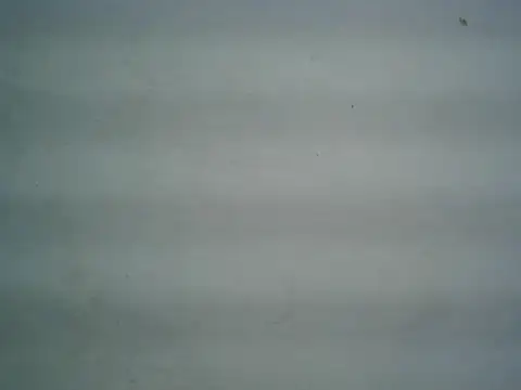 michel1520 online show from 06/09/26, 04:35