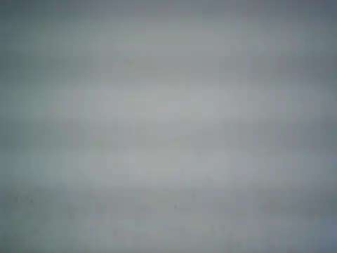 Snapshot of michel1520 chatting on 06/15/26, 05:48 michel1520 online show from 06/15/26, 05:48