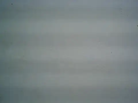 Snapshot of michel1520 chatting on 06/30/26, 04:24 michel1520 online show from 06/30/26, 04:24
