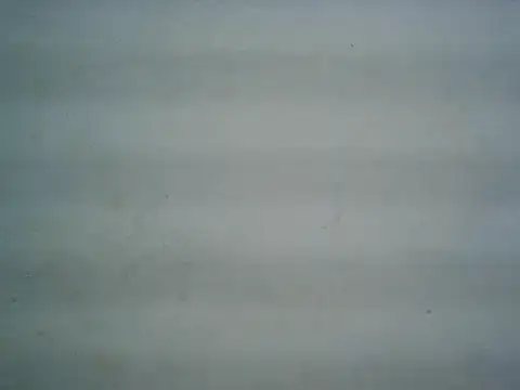 Snapshot of michel1520 chatting on 07/20/26, 11:34 michel1520 online show from 07/20/26, 11:34