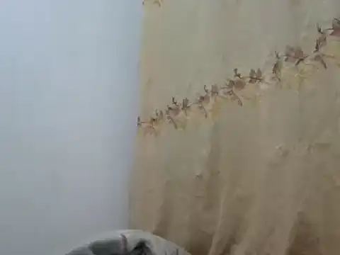 Snapshot of Sr_JakoXXXX chatting on 02/20/25, 07:55 Sr JakoXXXX online show from 02/20/25, 07:55