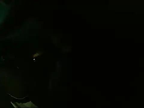 Lliam 2 online show from 01/20/25, 06:31