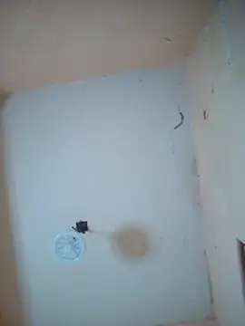 LuisMex1998 online show from 11/14/25, 02:21