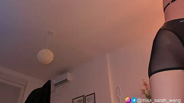 Snapshot of sarah_wang chatting on 06/30/26, 05:36 sarah wang online show from 06/30/26, 05:36