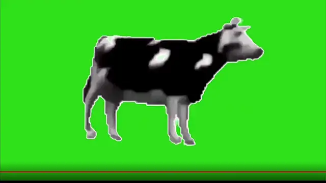 test FramedTishri m online show from 05/13/26, 03:20