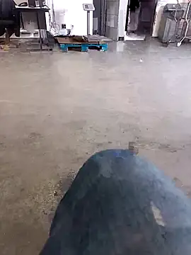 Snapshot of Trixboy201 chatting on 09/29/25, 07:19 Trixboy201 online show from 09/29/25, 07:19