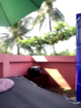 White Lu online show from 09/25/25, 02:04