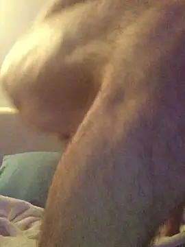 Pilote19 online show from 12/01/25, 05:51