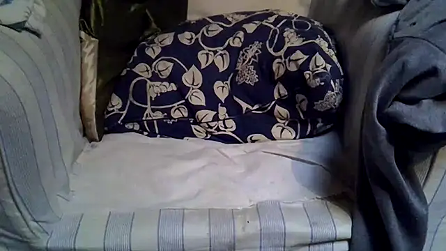 Damn bro23 online show from 11/24/25, 08:14