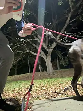 Snapshot of sexyhotstud12 chatting on 02/18/25, 04:26 sexyhotstud12 online show from 02/18/25, 04:26