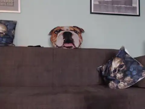 Snapshot of Astrid-Gilbert chatting on 02/05/25, 11:12 Astrid-Gilbert online show from 02/05/25, 11:12