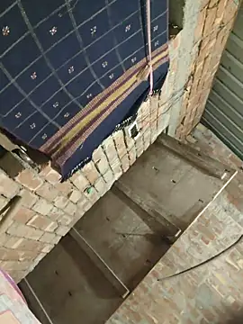 birds0641 online show from 06/12/26, 07:57