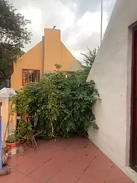 ZinaFreak online show from 02/04/25, 04:29