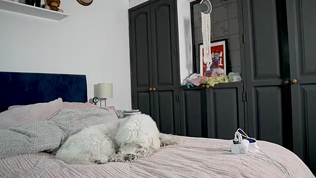 tattoo ninja kittyy online show from 10/16/25, 08:21