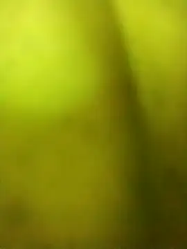 alicnonave online show from 11/27/25, 12:02