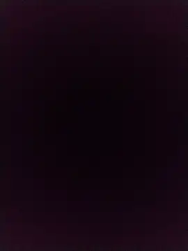 Singleboylucknow online show from 07/08/26, 07:02