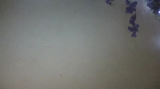 Snapshot of xxsexycutexxx chatting on 02/18/25, 06:04 xxsexycutexxx online show from 02/18/25, 06:04