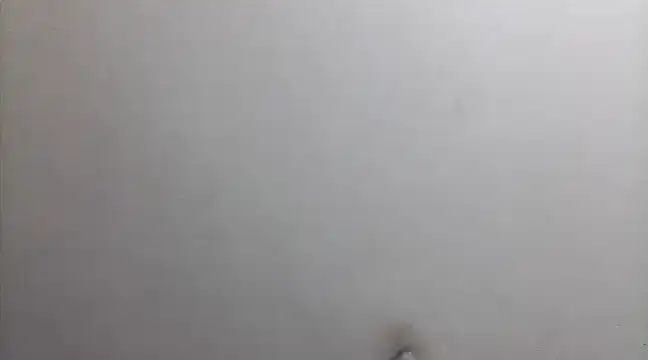 Snapshot of beatle666 chatting on 02/26/25, 02:15 beatle666 online show from 02/26/25, 02:15