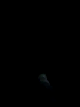 dominationmybigdick online show from 03/27/26, 11:15