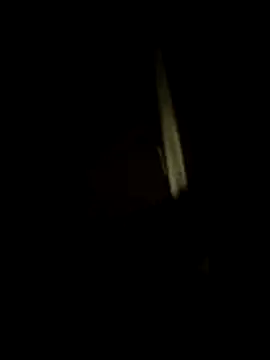 dominationmybigdick online show from 07/17/26, 10:47