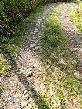 Dracoandr online show from 02/06/25, 01:32