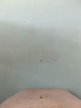 Dracoandr online show from 10/11/25, 04:05