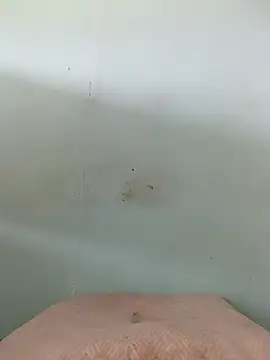 Dracoandr online show from 10/26/25, 05:08