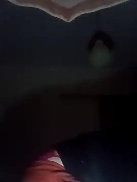 Snapshot of ginger_1_1 chatting on 02/16/25, 03:58 ginger 1 1 online show from 02/16/25, 03:58