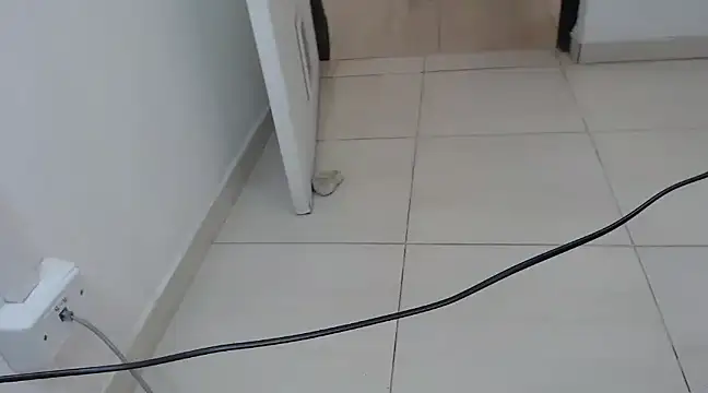 Snapshot of StormyWets_Bluk chatting on 03/11/25, 07:36 StormyWets Bluk online show from 03/11/25, 07:36