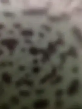 Yashkumar 0697 online show from 10/13/25, 08:42