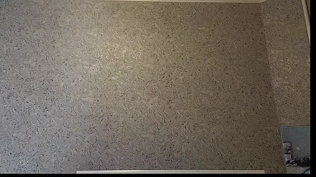 Snapshot of DemiDee chatting on 12/15/25, 08:24 DemiDee online show from 12/15/25, 08:24