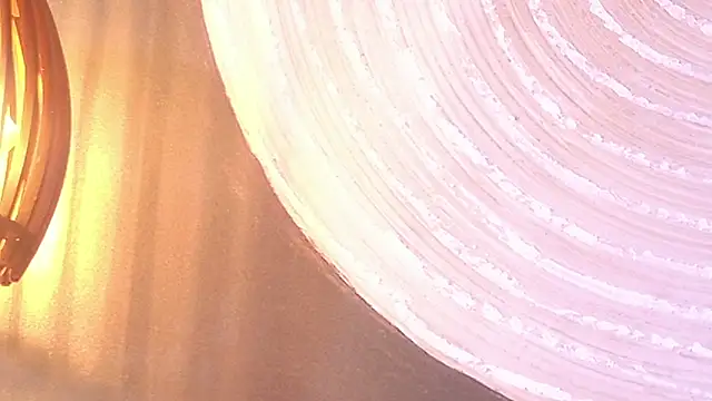 lissa palmer online show from 11/30/25, 03:10