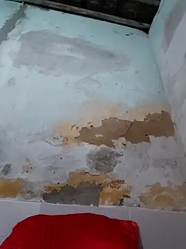 Snapshot of shuelldin chatting on 10/29/25, 02:47 shuelldin online show from 10/29/25, 02:47