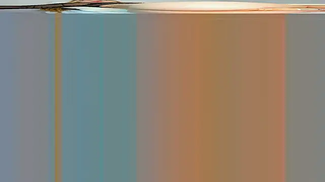 Snapshot of rouss_witt chatting on 03/07/25, 08:22 rouss witt online show from 03/07/25, 08:22