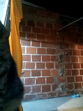 Snapshot of PECHO100 chatting on 03/03/25, 03:08 PECHO100 online show from 03/03/25, 03:08