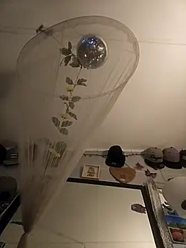 Snapshot of ShysluutGia chatting on 10/28/25, 05:22 ShysluutGia online show from 10/28/25, 05:22