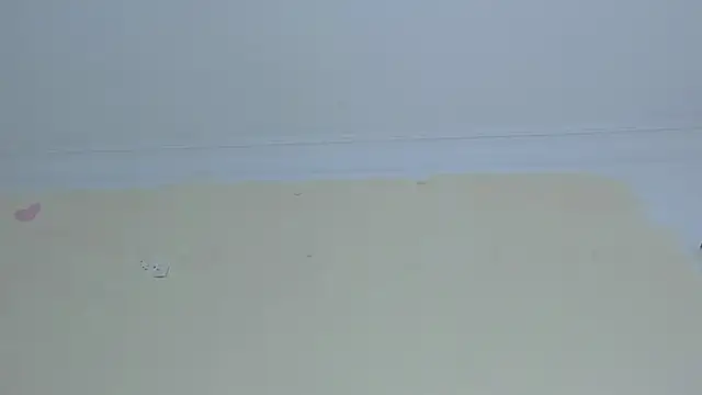 Dolly cutee online show from 02/20/25, 07:55
