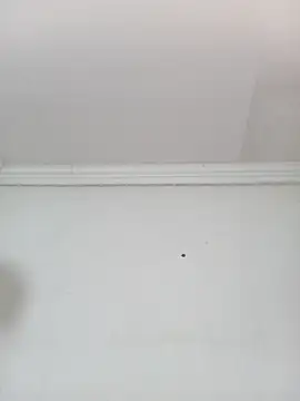 Snapshot of Kylie6lack chatting on 10/01/25, 08:15 Kylie6lack online show from 10/01/25, 08:15