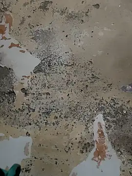 urrubybaby online show from 02/15/25, 08:44