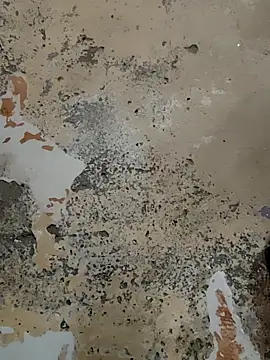 urrubybaby online show from 02/21/25, 07:12